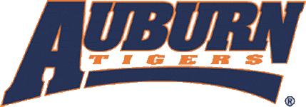 Auburn Tigers 1998-2003 Wordmark Logo v2 DIY iron on transfer (heat transfer)